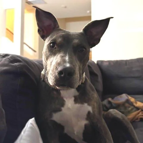 Winnie thumbnail 6