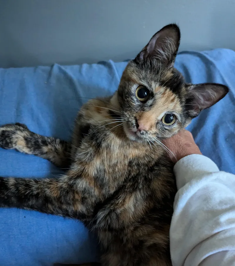 Eleanor "ellie" thumbnail 2