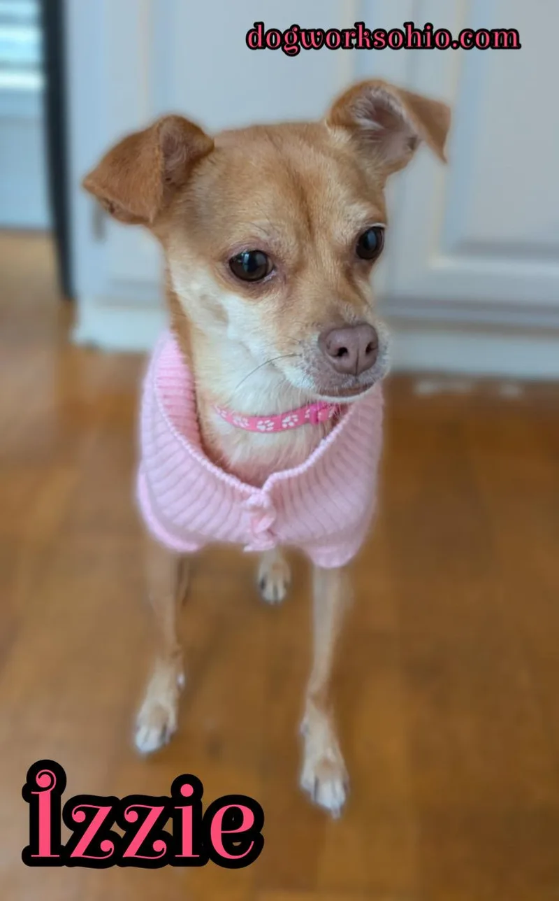 Izzie thumbnail 3
