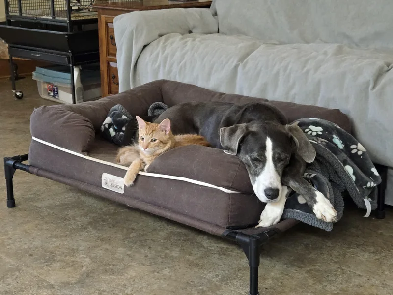 Garfield thumbnail 4