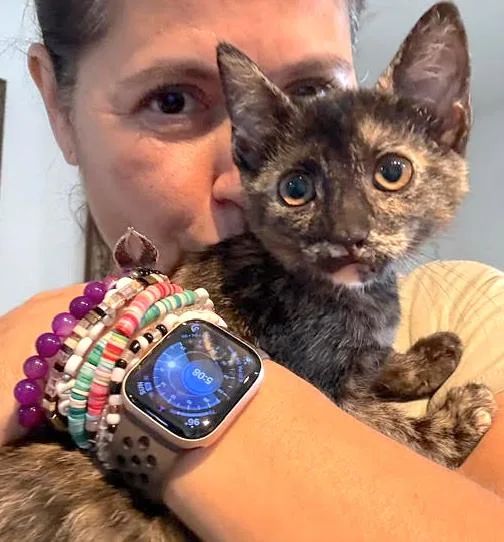 Phoebe thumbnail 3