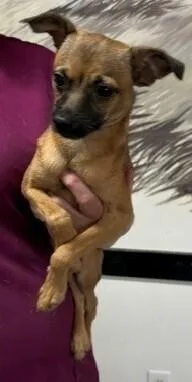 Sanchez