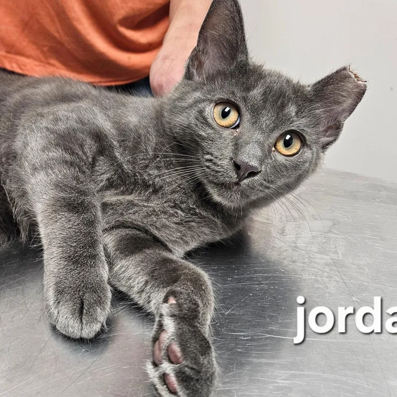 Jordan