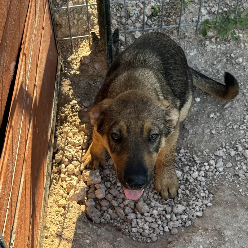 Skye