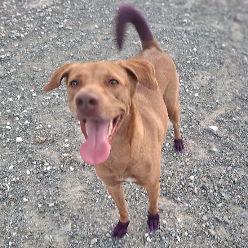 Sissi "your One To thumbnail 3