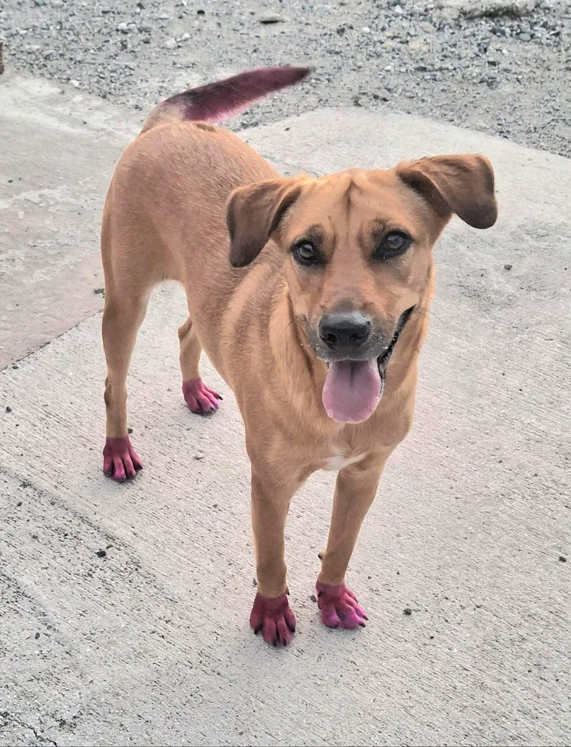 Sissi "your One To thumbnail 5