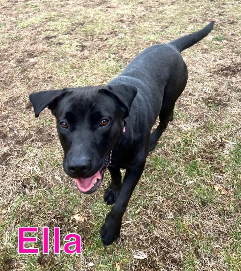 Ella