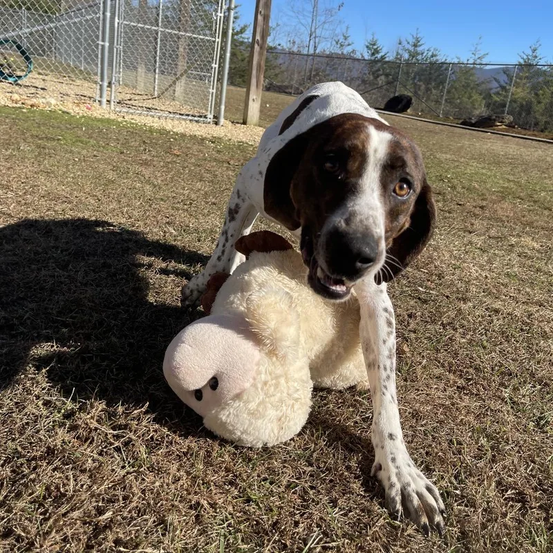 Professor Cosmic Brownie thumbnail 2