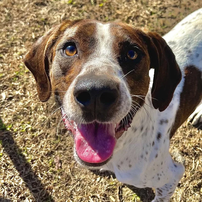 Professor Cosmic Brownie thumbnail 3