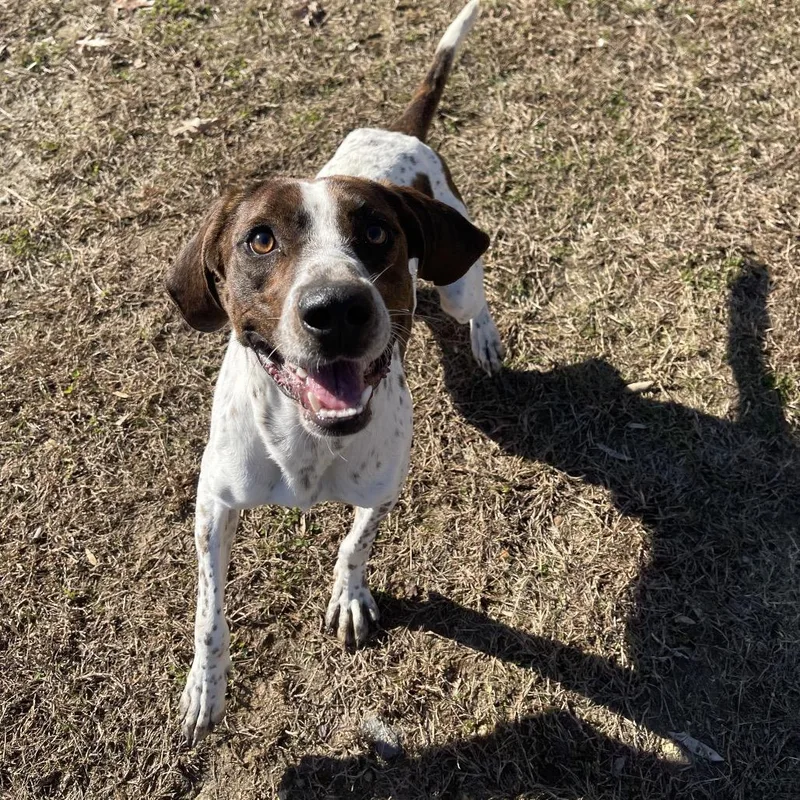 Professor Cosmic Brownie thumbnail 4