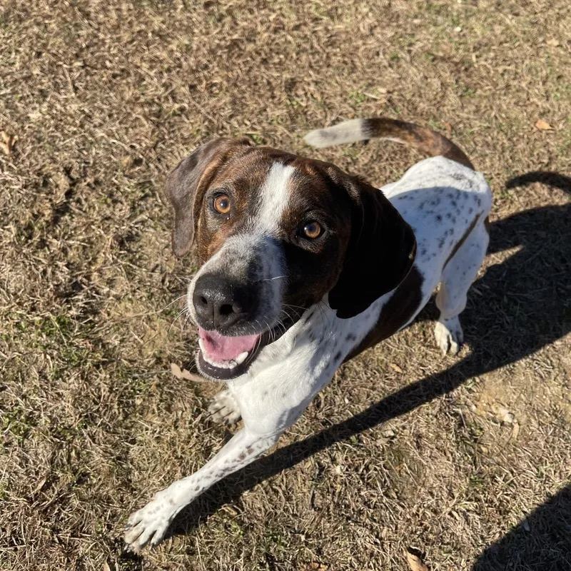 Professor Cosmic Brownie thumbnail 5