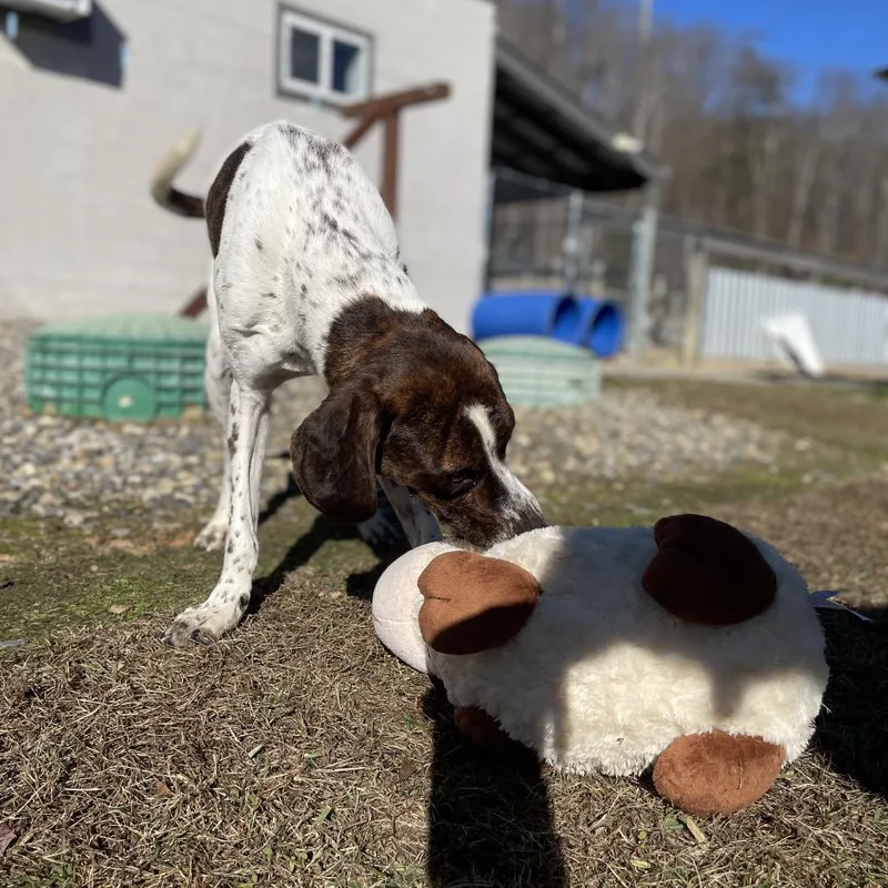 Professor Cosmic Brownie thumbnail 6