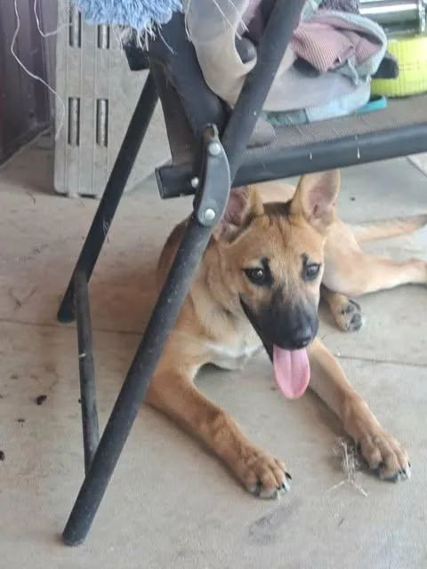 Milo