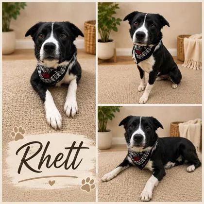 Rhett