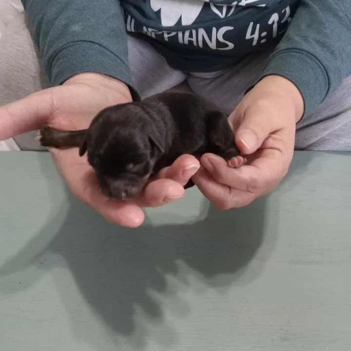 Eric thumbnail 2