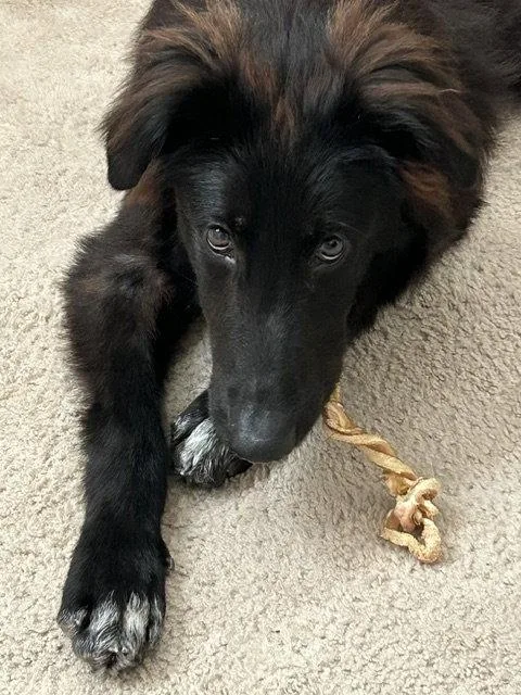 Tucker