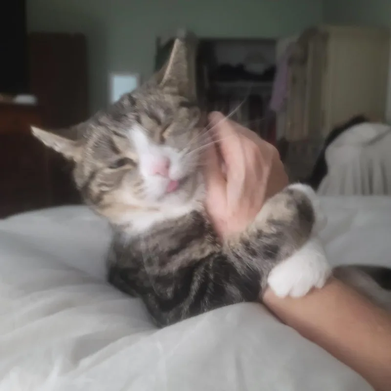 Princess thumbnail 2