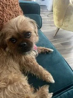 Maisy thumbnail 2