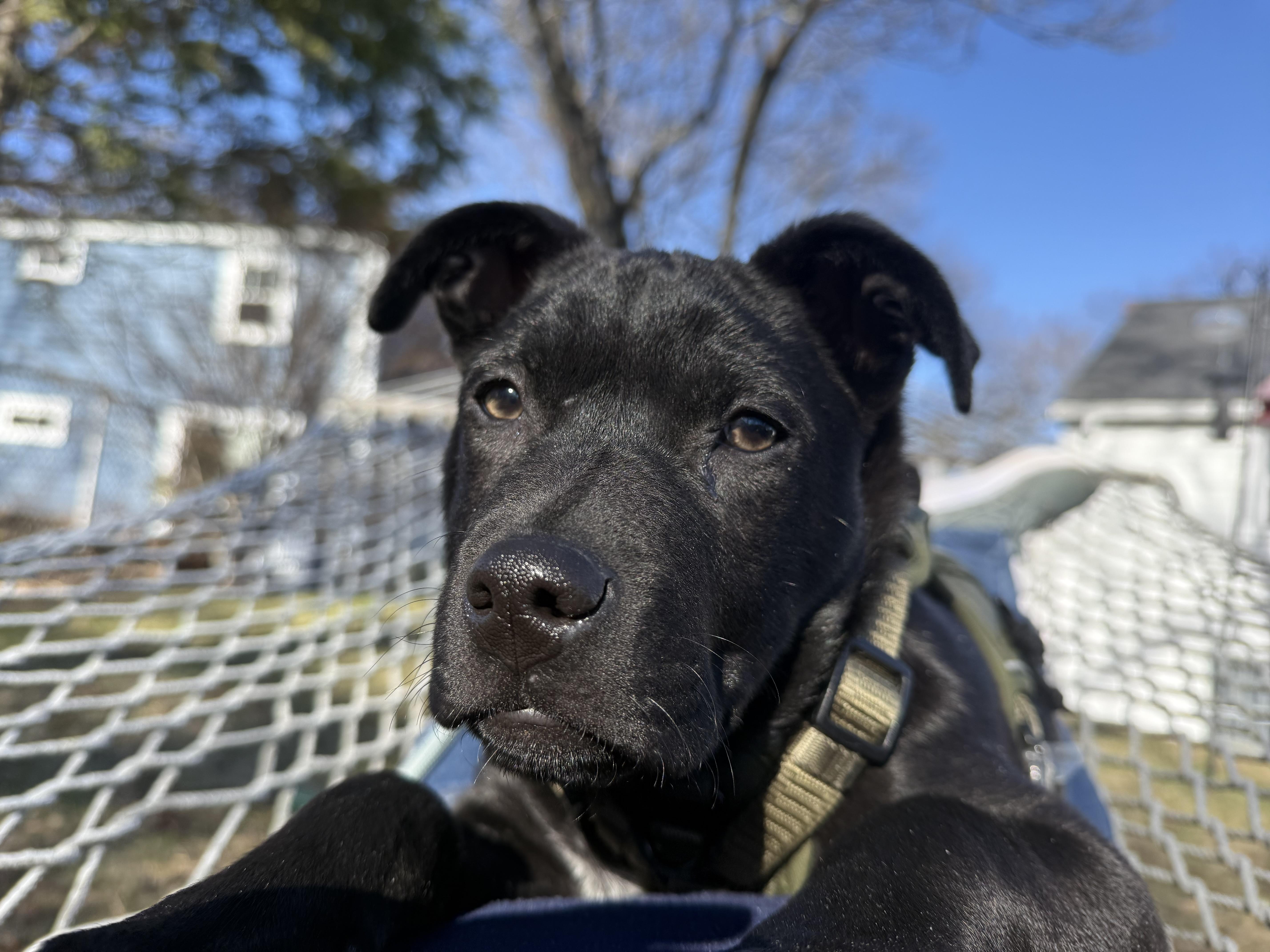 Saint Incredible  Local thumbnail 4