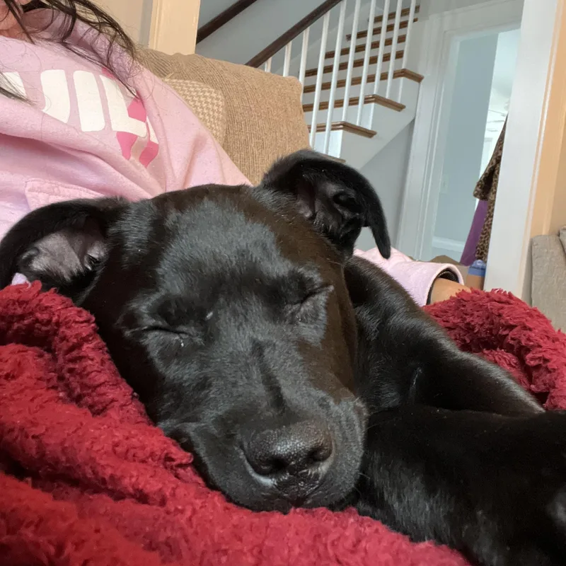 Saint Incredible  Local thumbnail 5