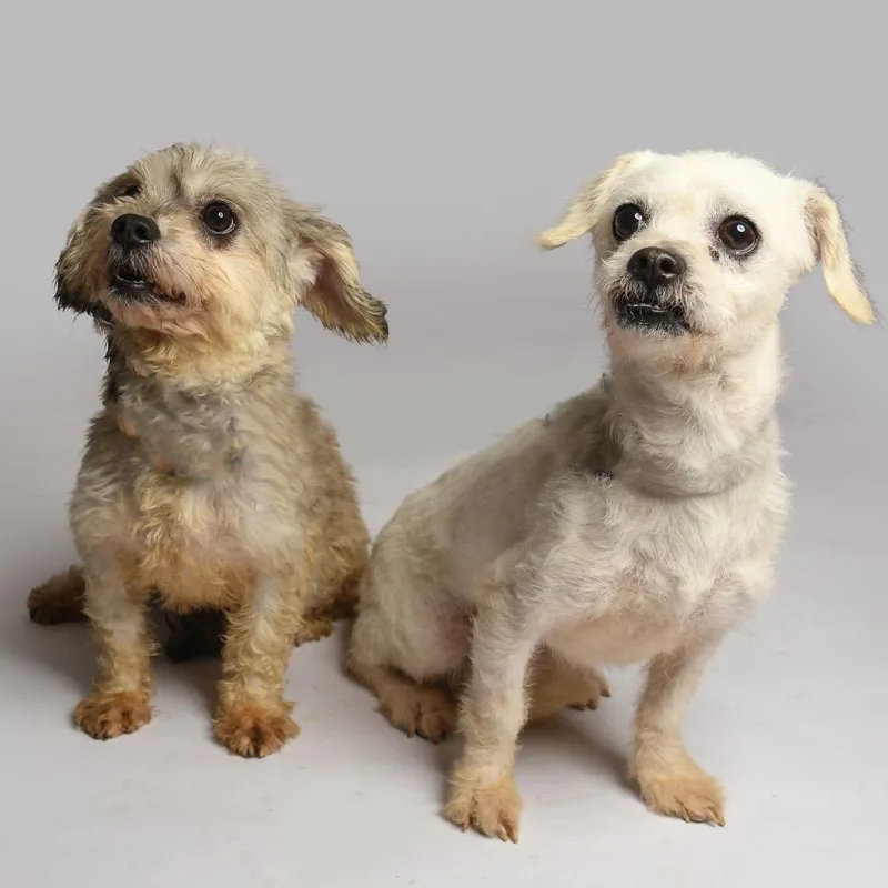 Mia Gutierez thumbnail 2