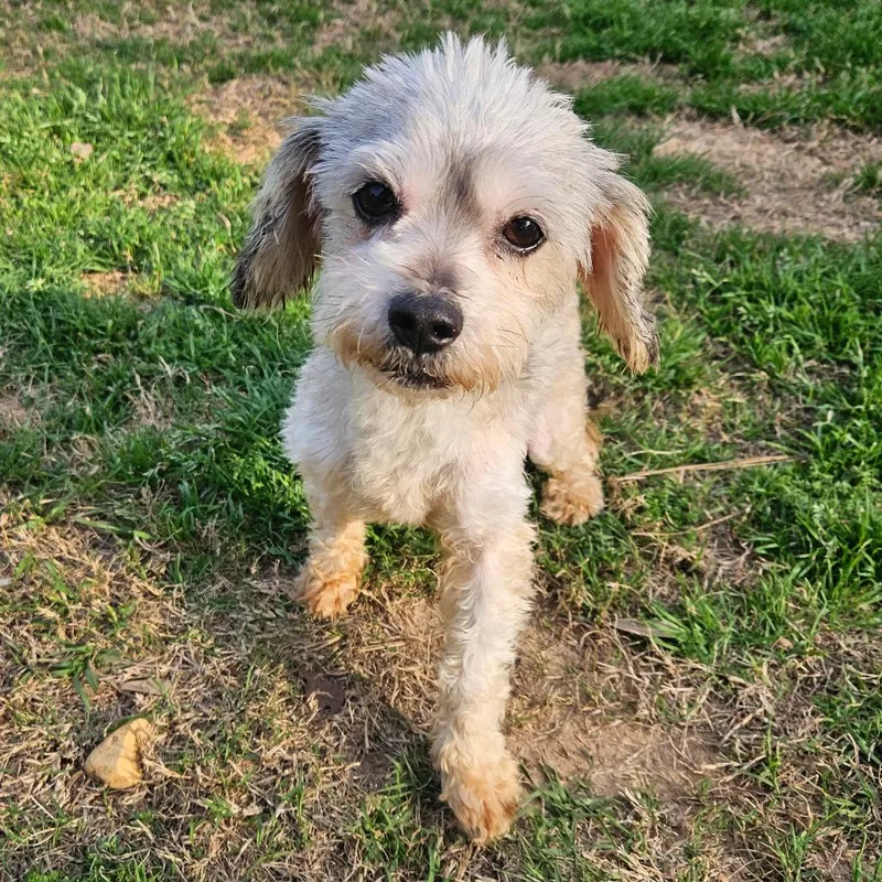 Mia Gutierez thumbnail 3