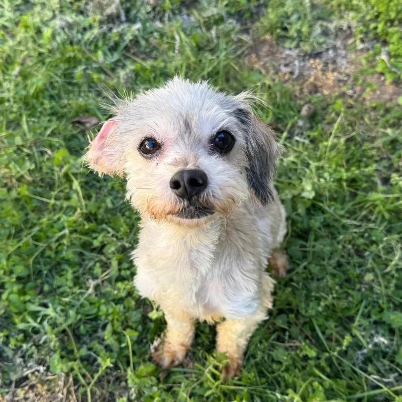 Mia Gutierez thumbnail 4