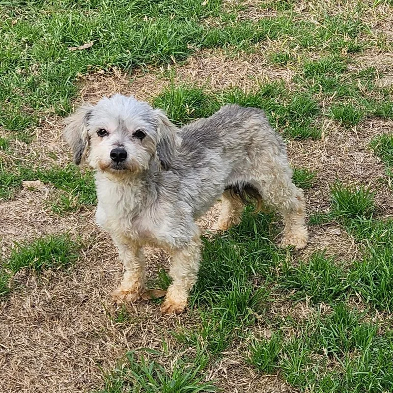 Mia Gutierez thumbnail 5