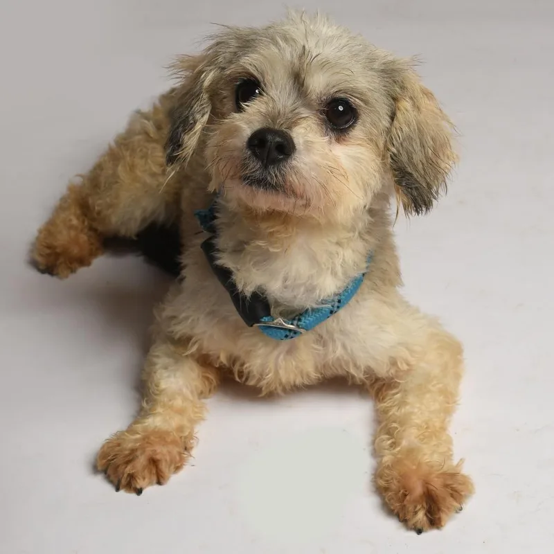 Mia Gutierez thumbnail 6