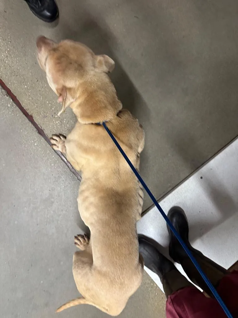 Honeybooboo thumbnail 2