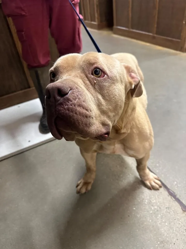 Honeybooboo thumbnail 3