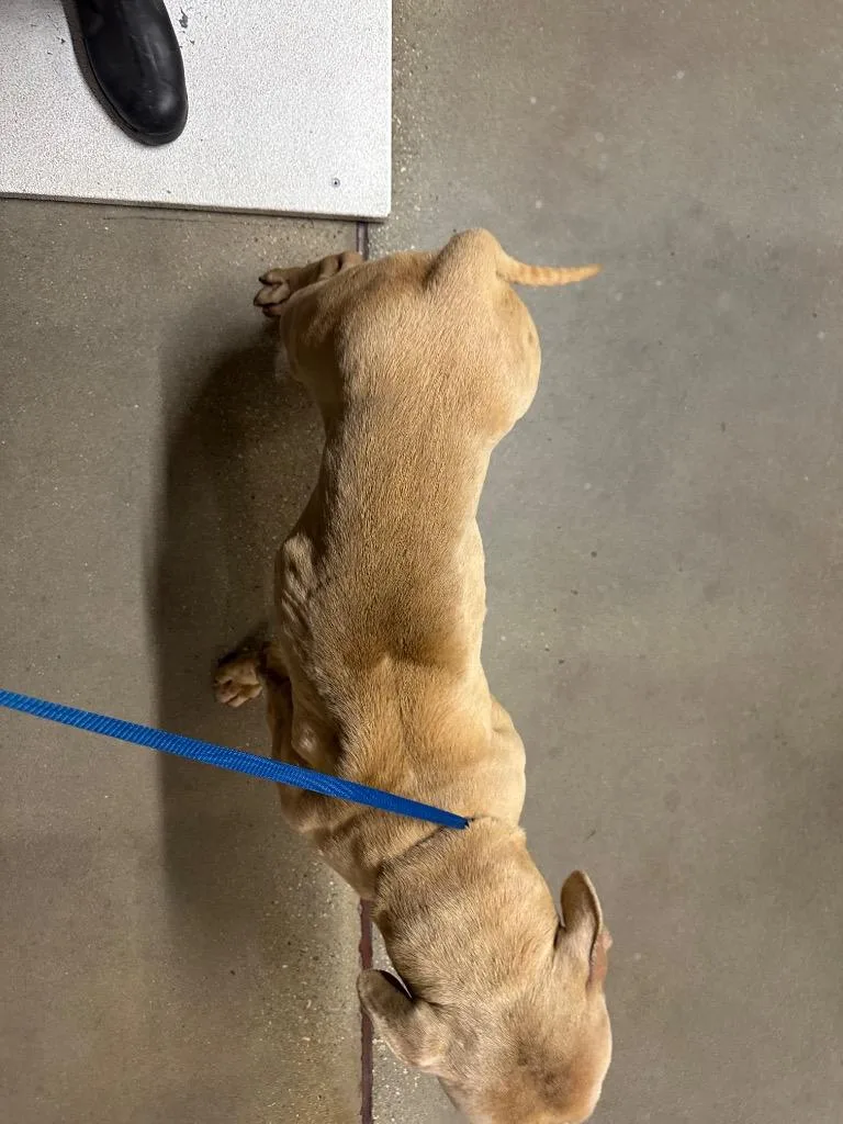 Honeybooboo thumbnail 4