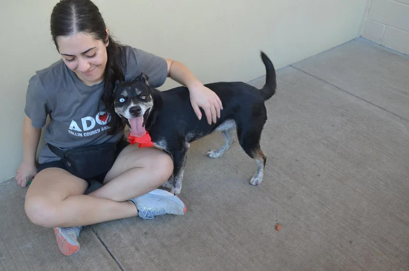 Bella thumbnail 2