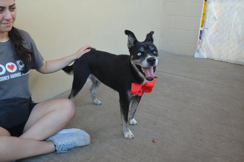 Bella thumbnail 3