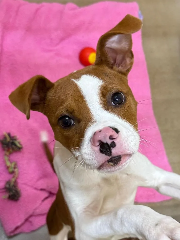 Massachusetts thumbnail 4