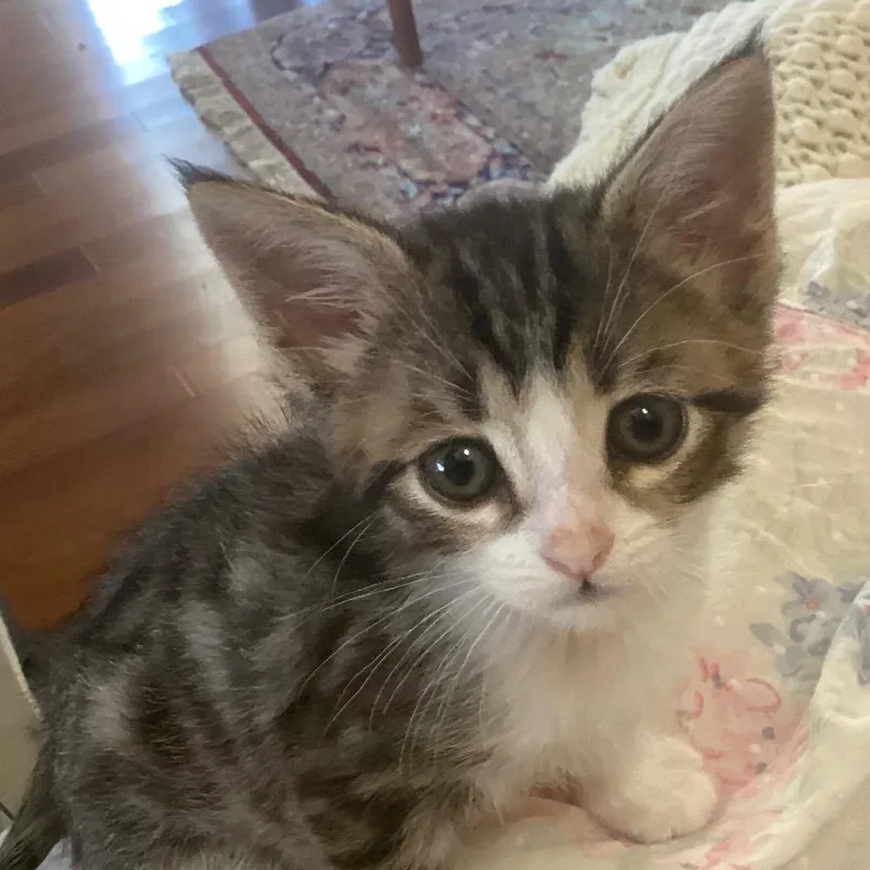 Quincy