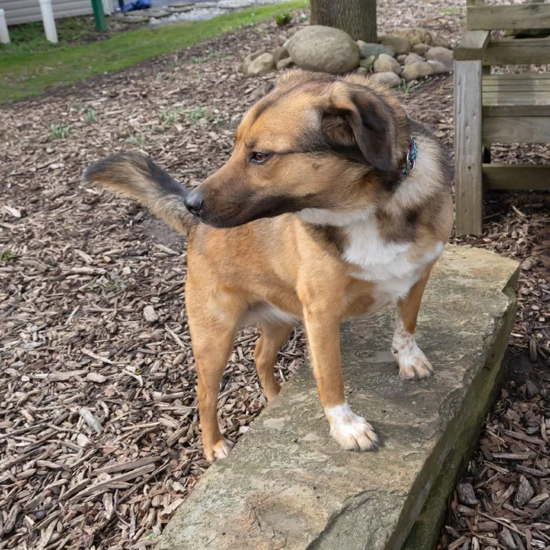 Sadie Mae thumbnail 5