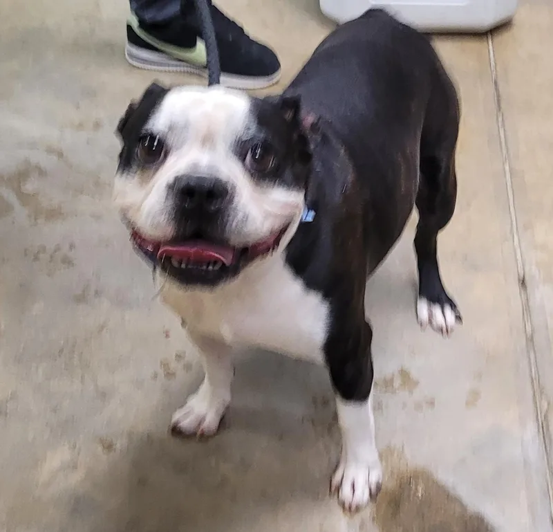 Coco