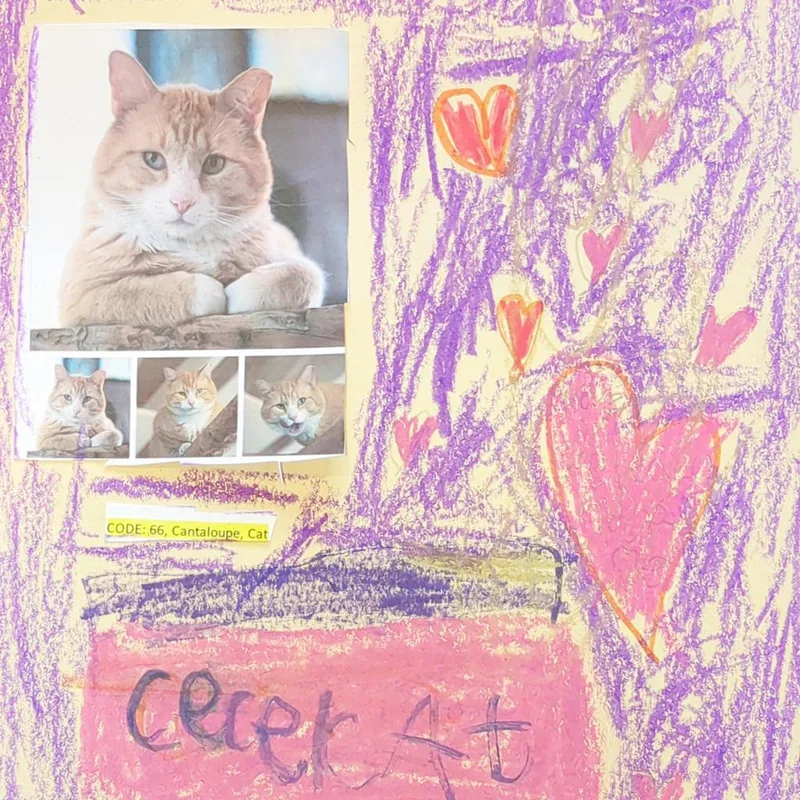 Cantaloupe thumbnail 4