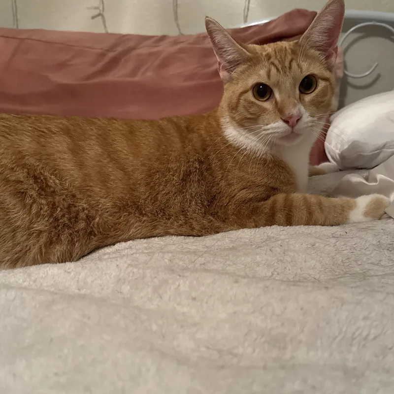 Jeffery Aka Jeff thumbnail 2