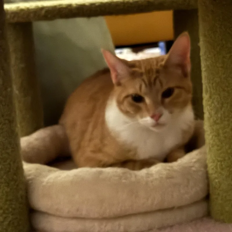 Jeffery Aka Jeff thumbnail 3