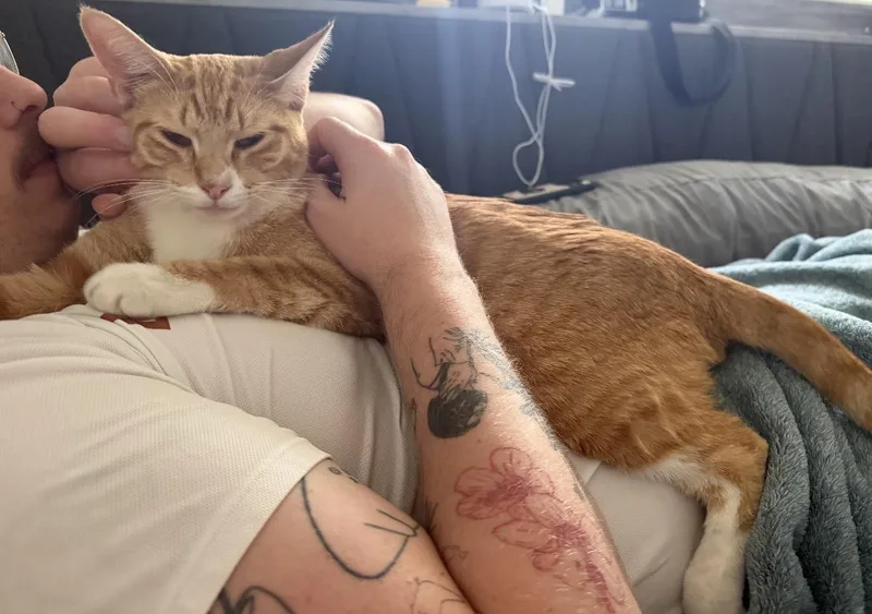 Jeffery Aka Jeff thumbnail 4