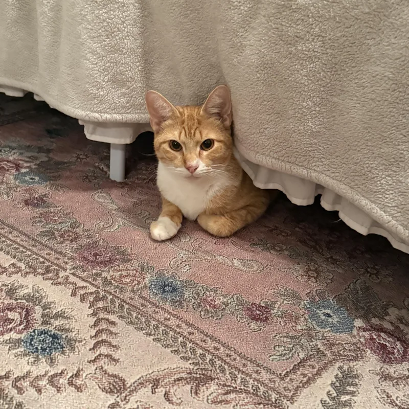 Jeffery Aka Jeff thumbnail 5