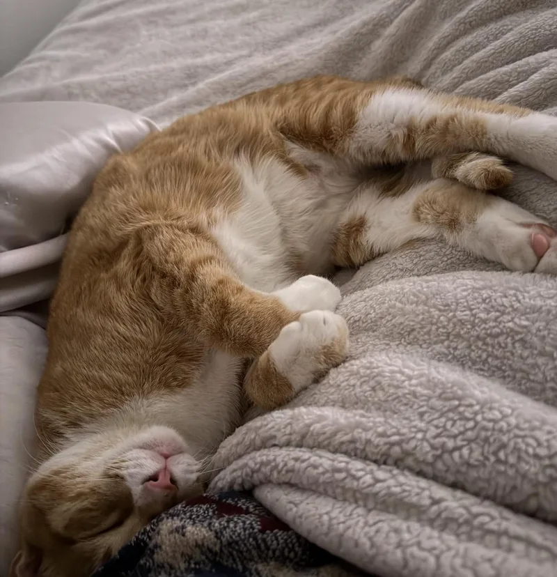 Jeffery Aka Jeff thumbnail 6