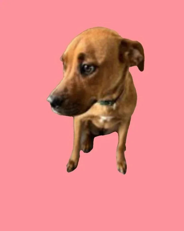 Dora