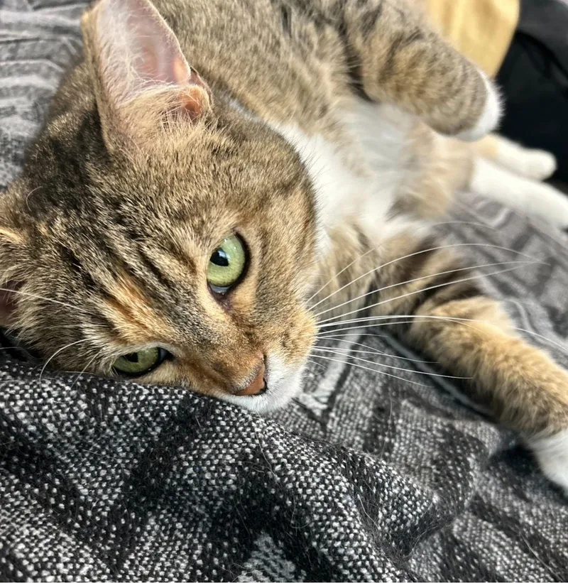 Divinity thumbnail 2