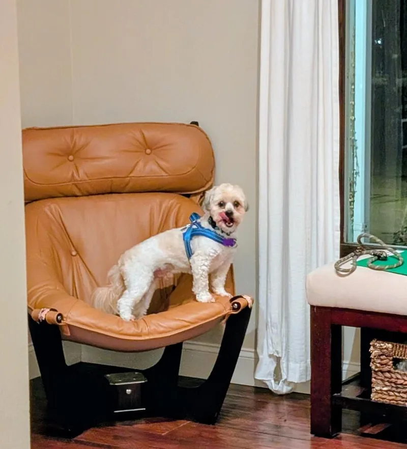 Lance A Lot thumbnail 2