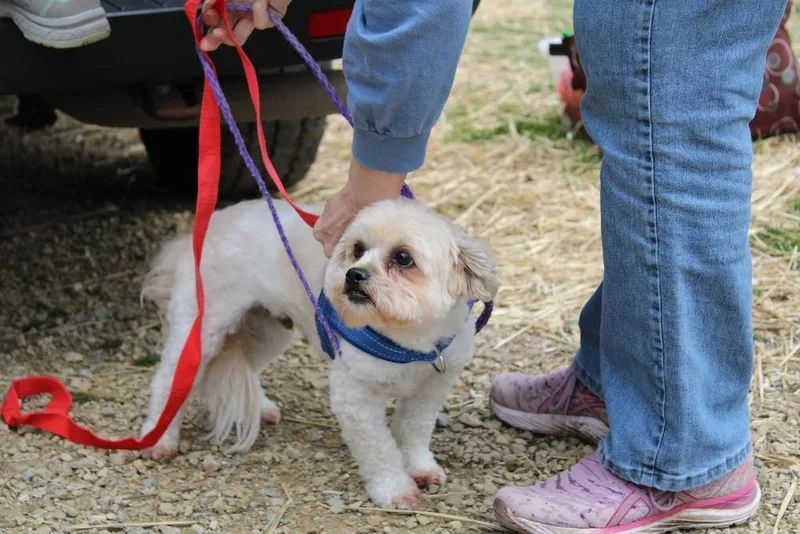 Lance A Lot thumbnail 4