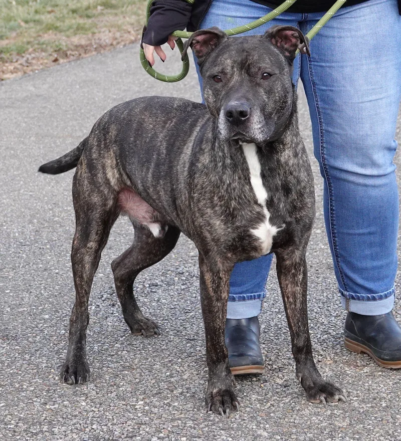 Cliff  Updated thumbnail 4