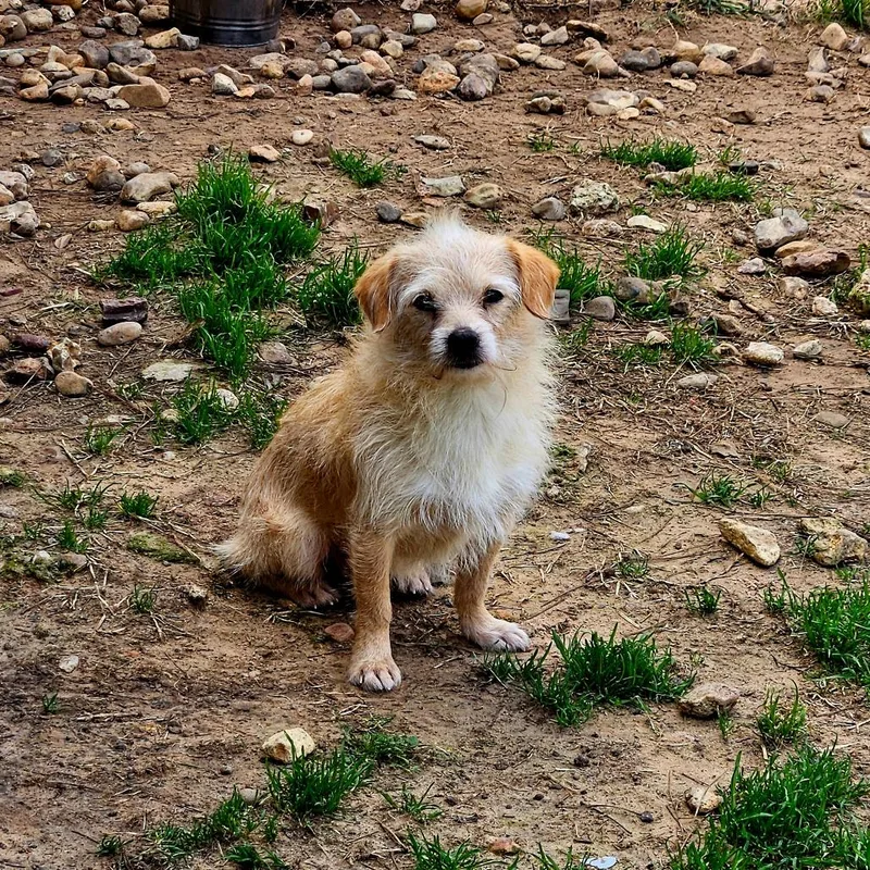 Jullien Verb thumbnail 2